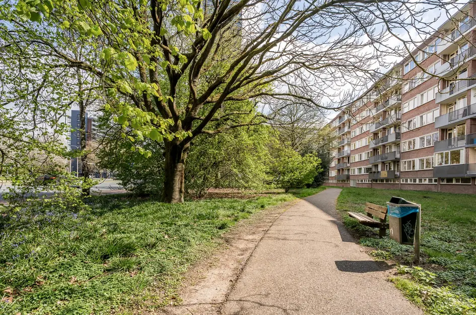 Cederstraat 55