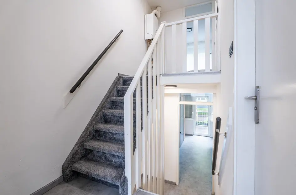 Kamillehof 46