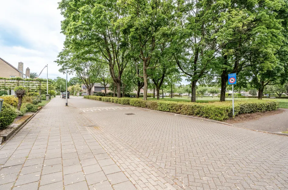 Bizetplantsoen 41