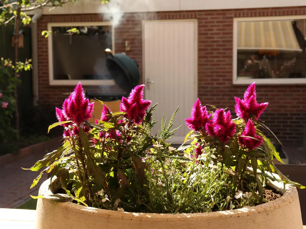 Kanariestraat 35, BREDA