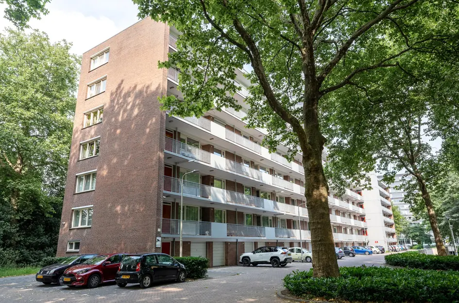 Cederstraat 33