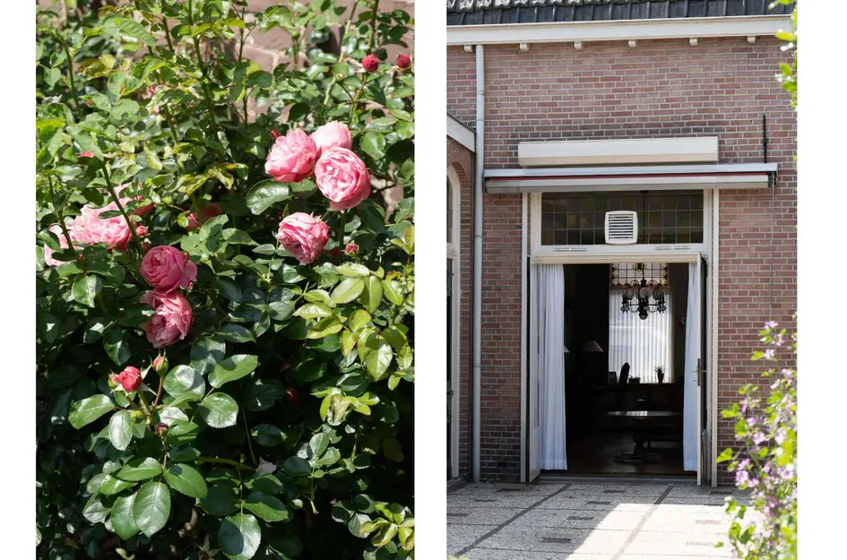 Hasseltstraat 200