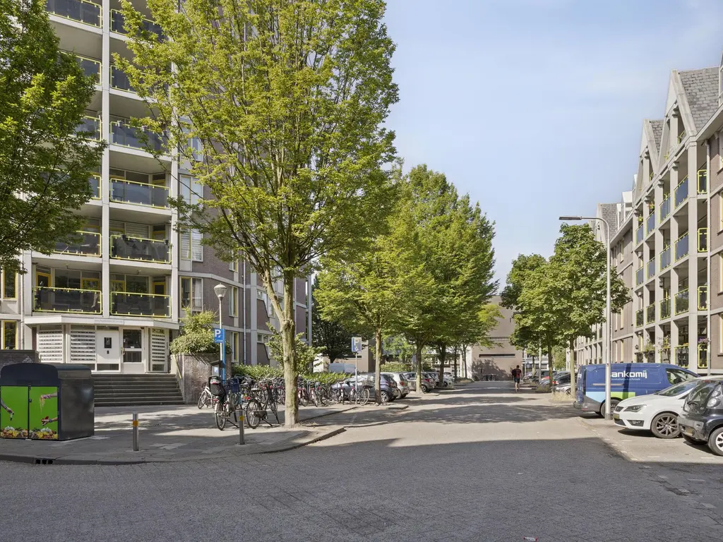 Anna Paulownahof 215, TILBURG