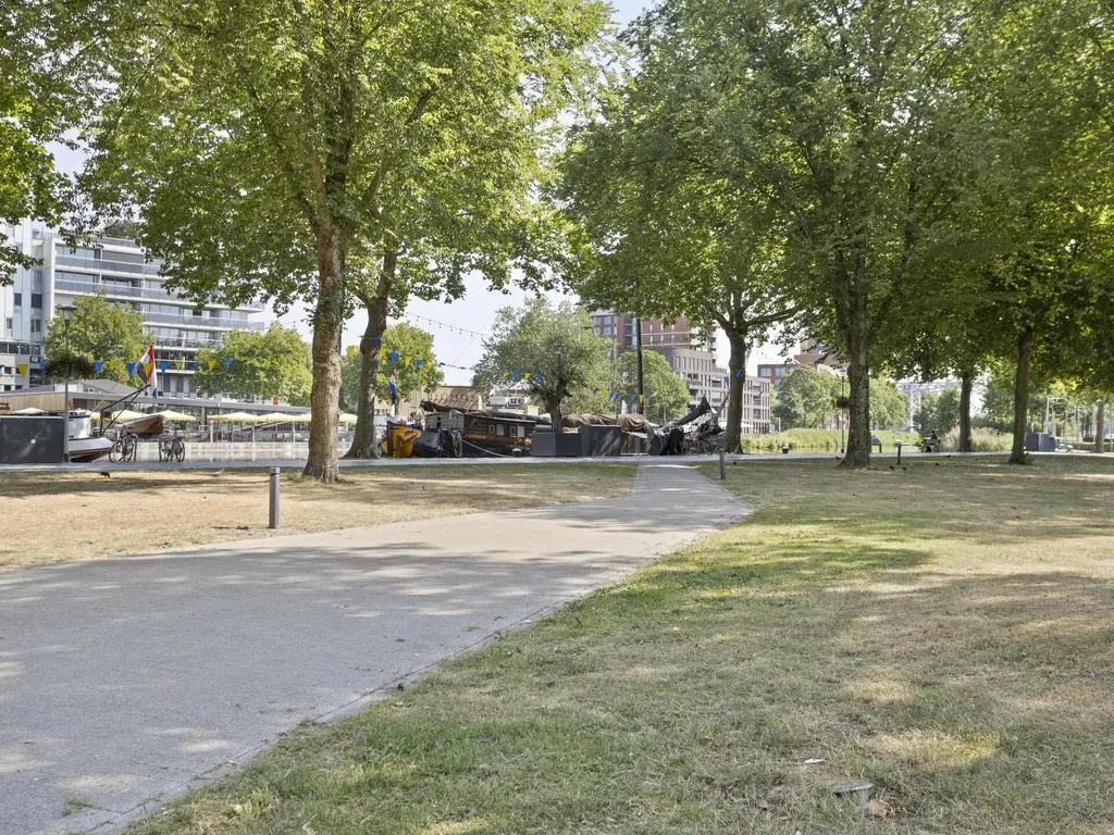 Anna Paulownahof 215, TILBURG
