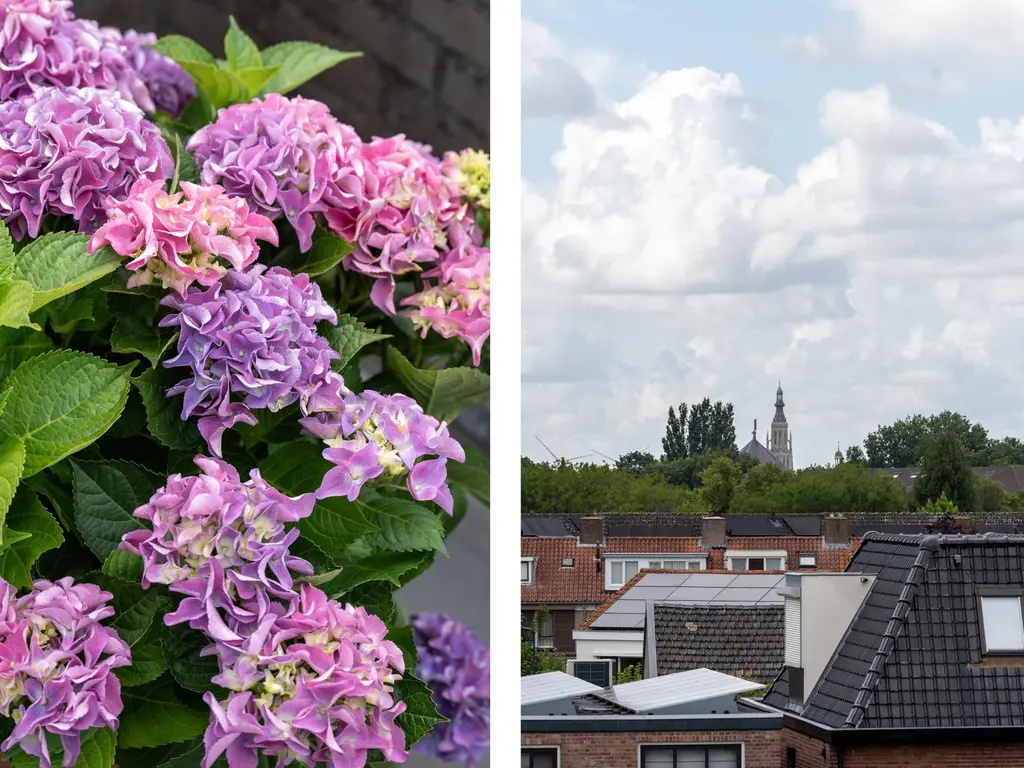 Ter Hoogestraat 52, BREDA