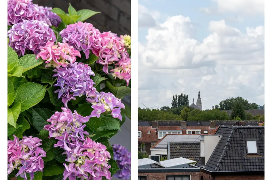 Ter Hoogestraat 52