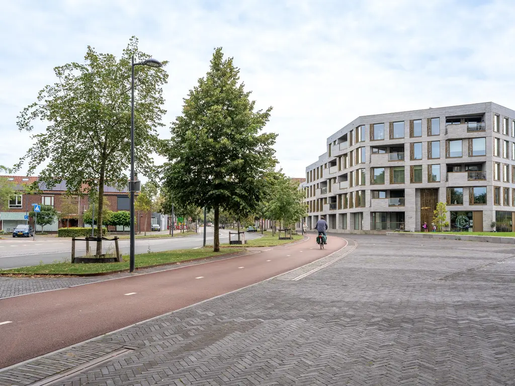 Terheijdenstraat 290, BREDA