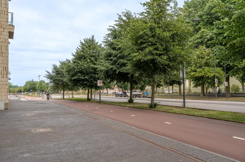 Terheijdenstraat 290