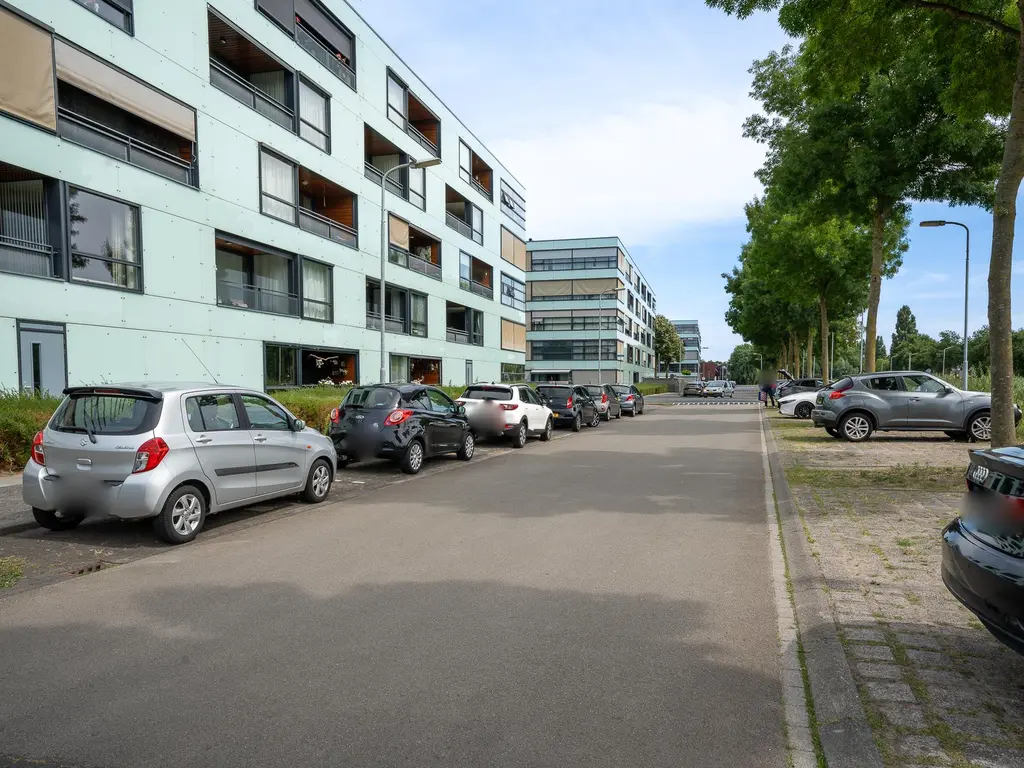 Waterviolier 30, BREDA