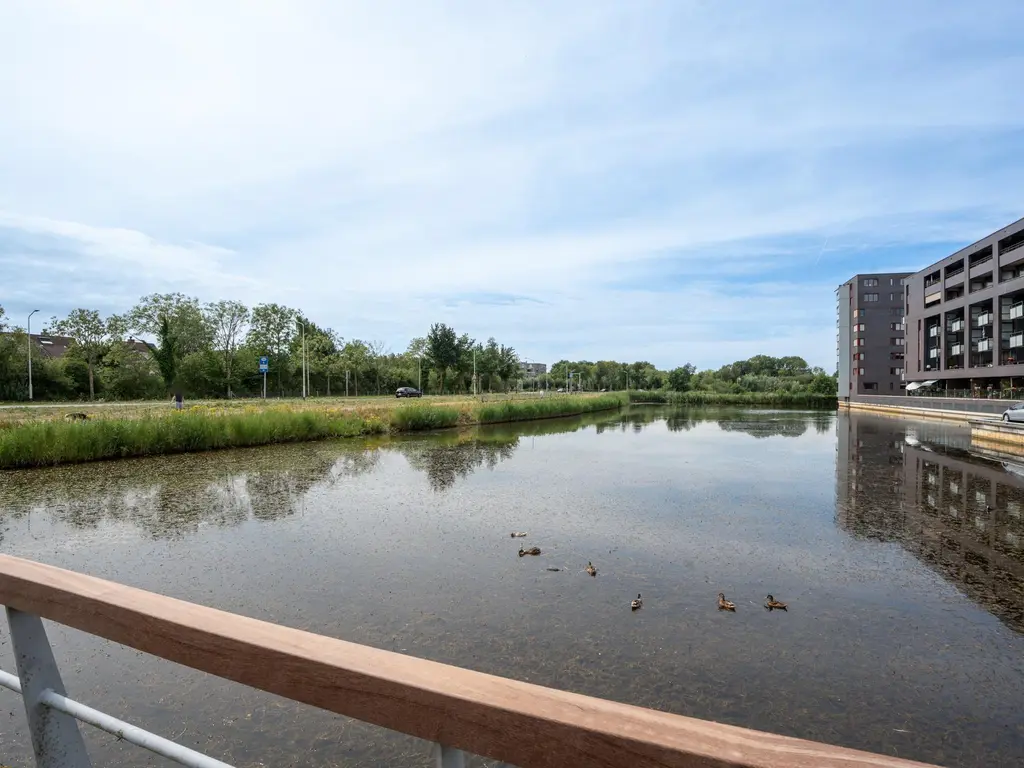 Waterviolier 30, BREDA