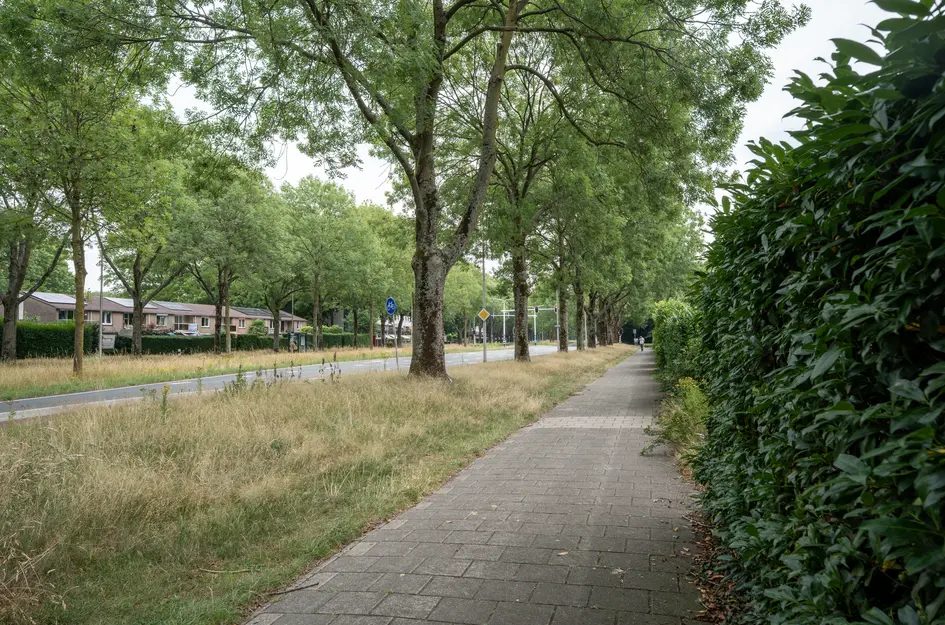 Heubergerstraat 39