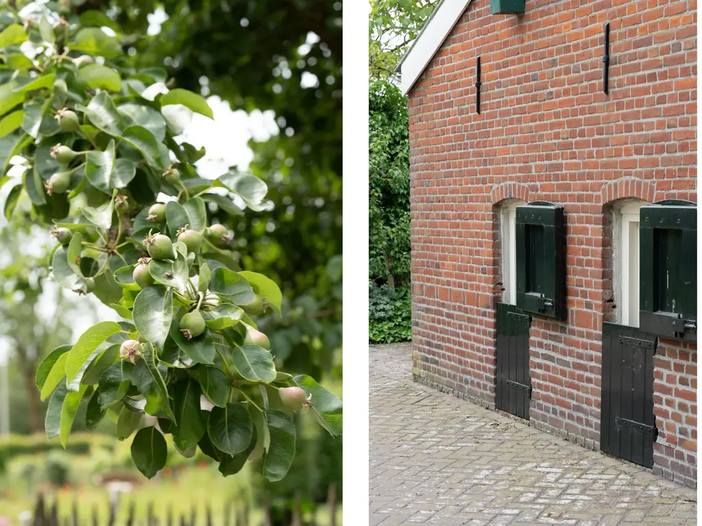 Langendijk 81, TILBURG