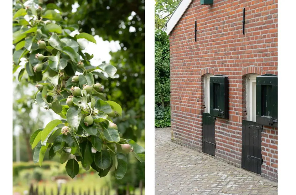 Langendijk 81