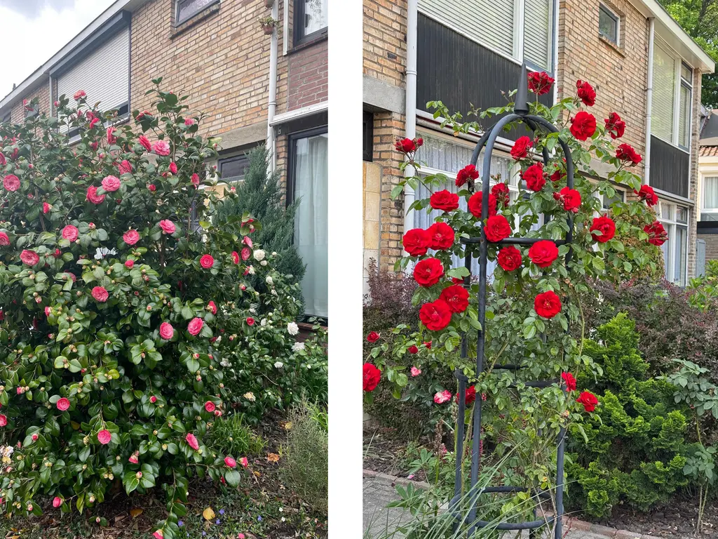 Benedictusstraat 5, TILBURG