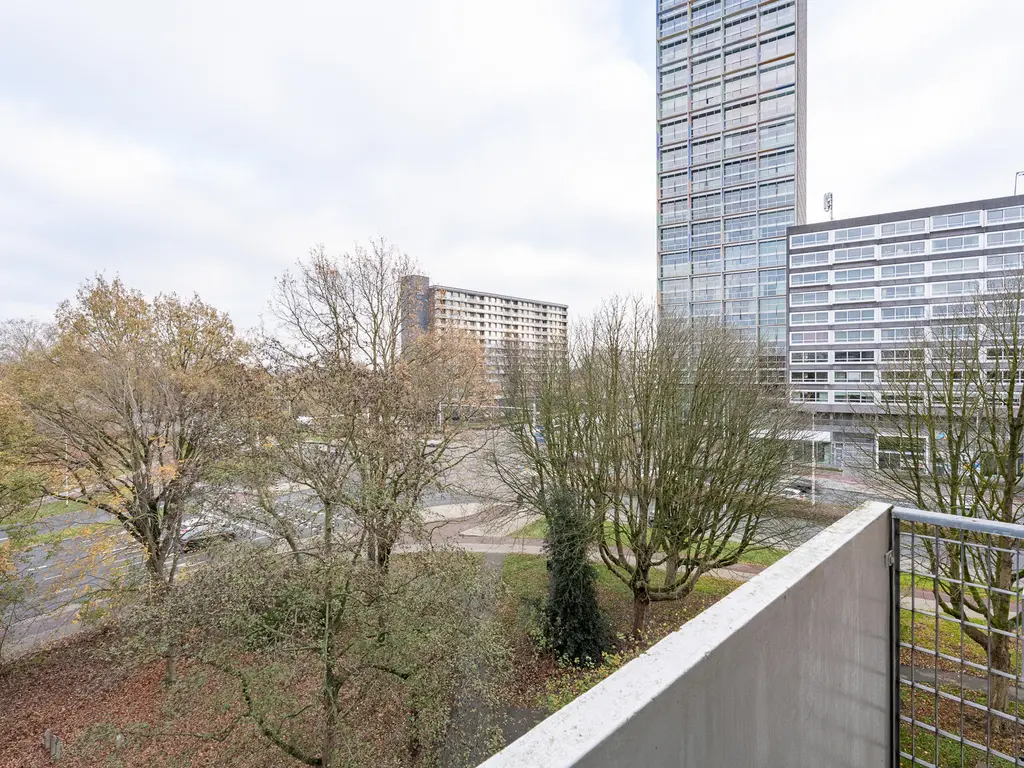 Cederstraat 119, TILBURG