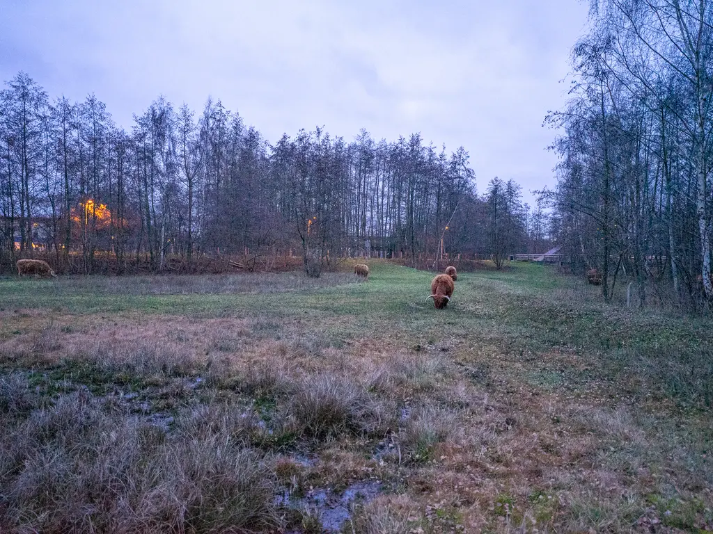 Marlestraat 37, TILBURG