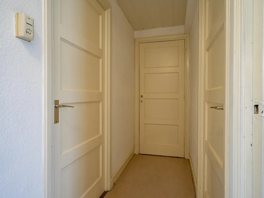 Vredeman de Vriesstraat 79, TILBURG