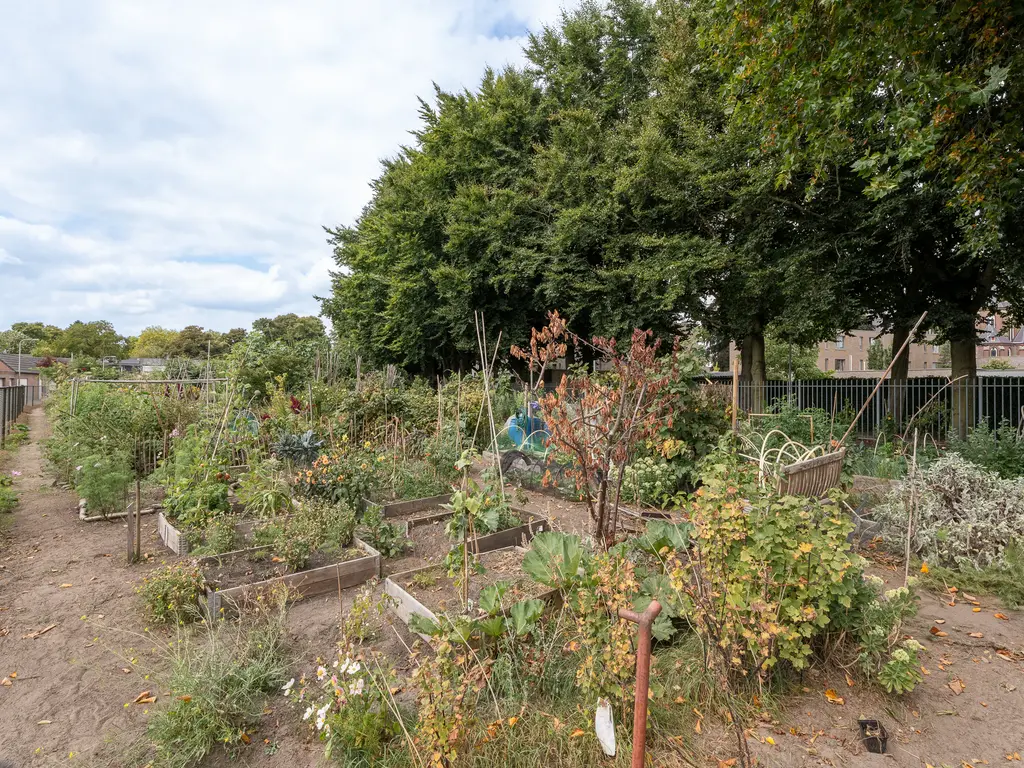 Akkerstraat 93, TILBURG