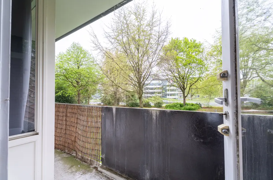 Cederstraat 31