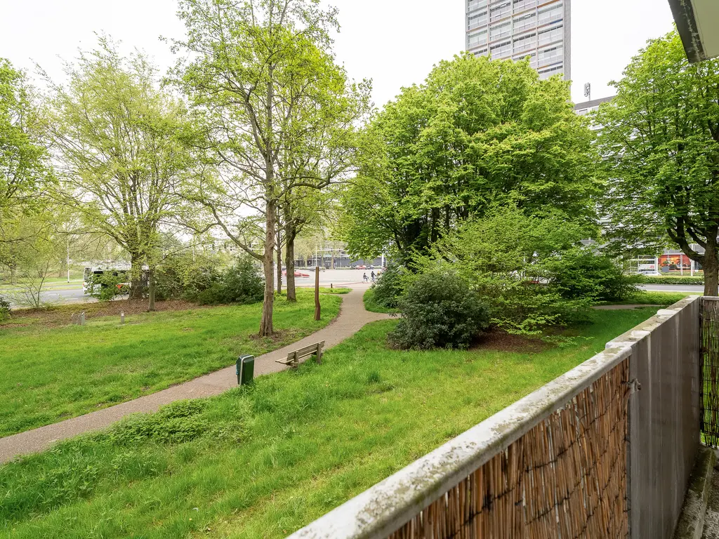 Cederstraat 31, TILBURG