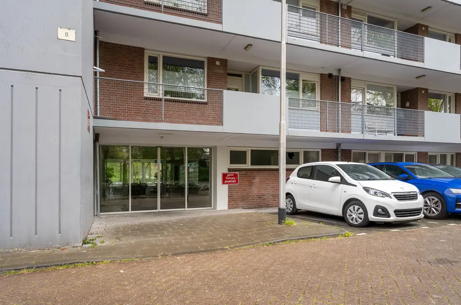 Cederstraat 31