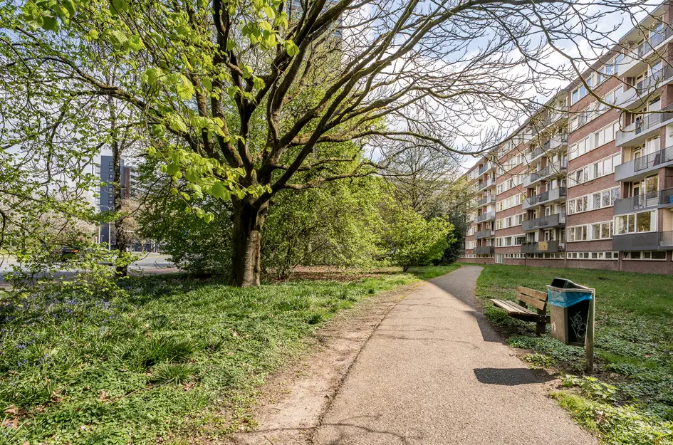 Cederstraat 31