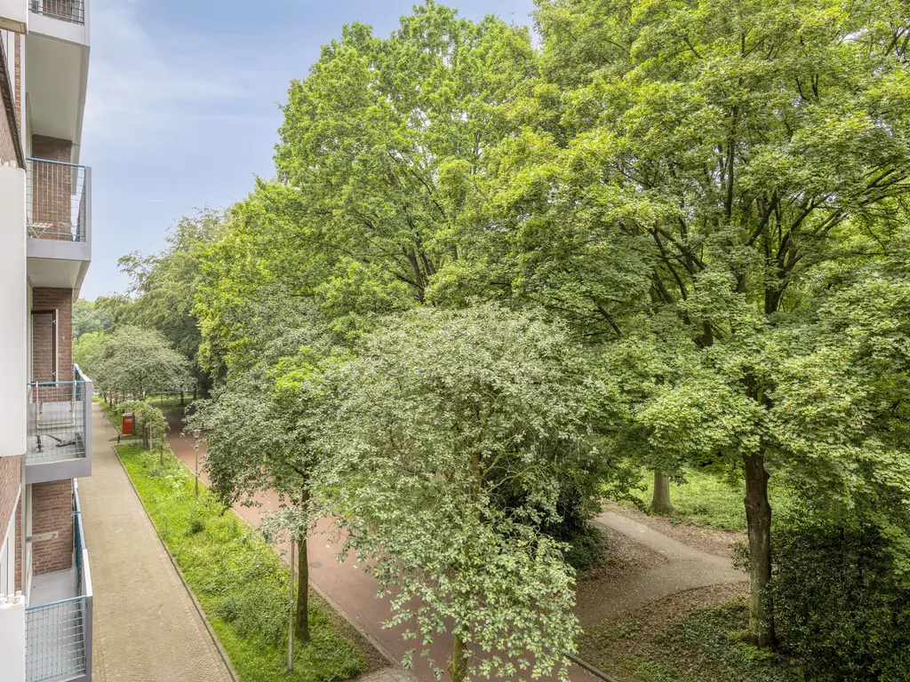Professor Cobbenhagenlaan 286, TILBURG