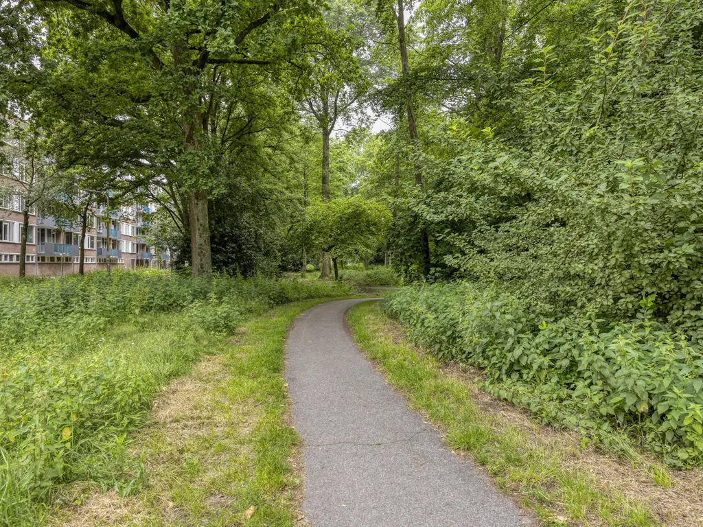 Professor Cobbenhagenlaan 286, TILBURG
