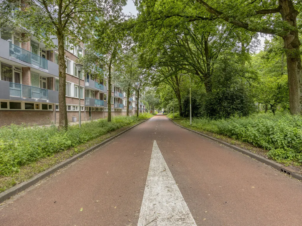 Professor Cobbenhagenlaan 286, TILBURG