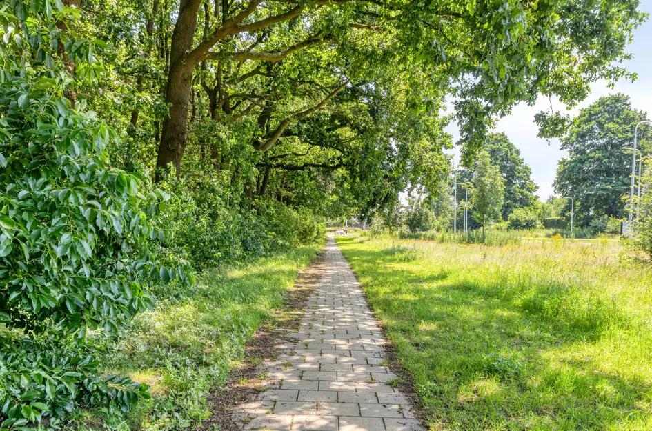 Kralingenstraat 22