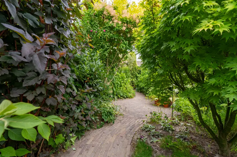Mostheuvelstraat 63