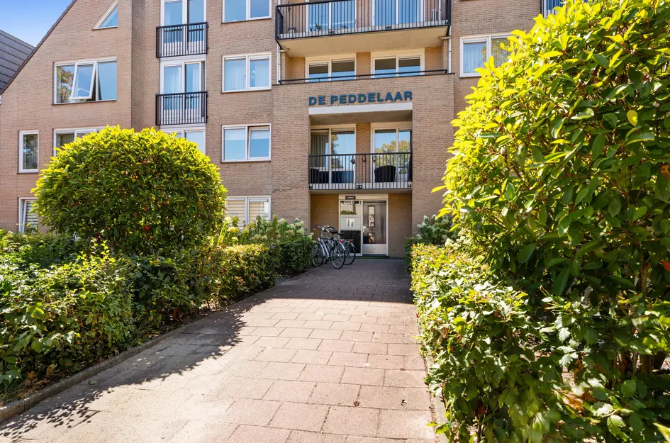 Boomstraat 144 03