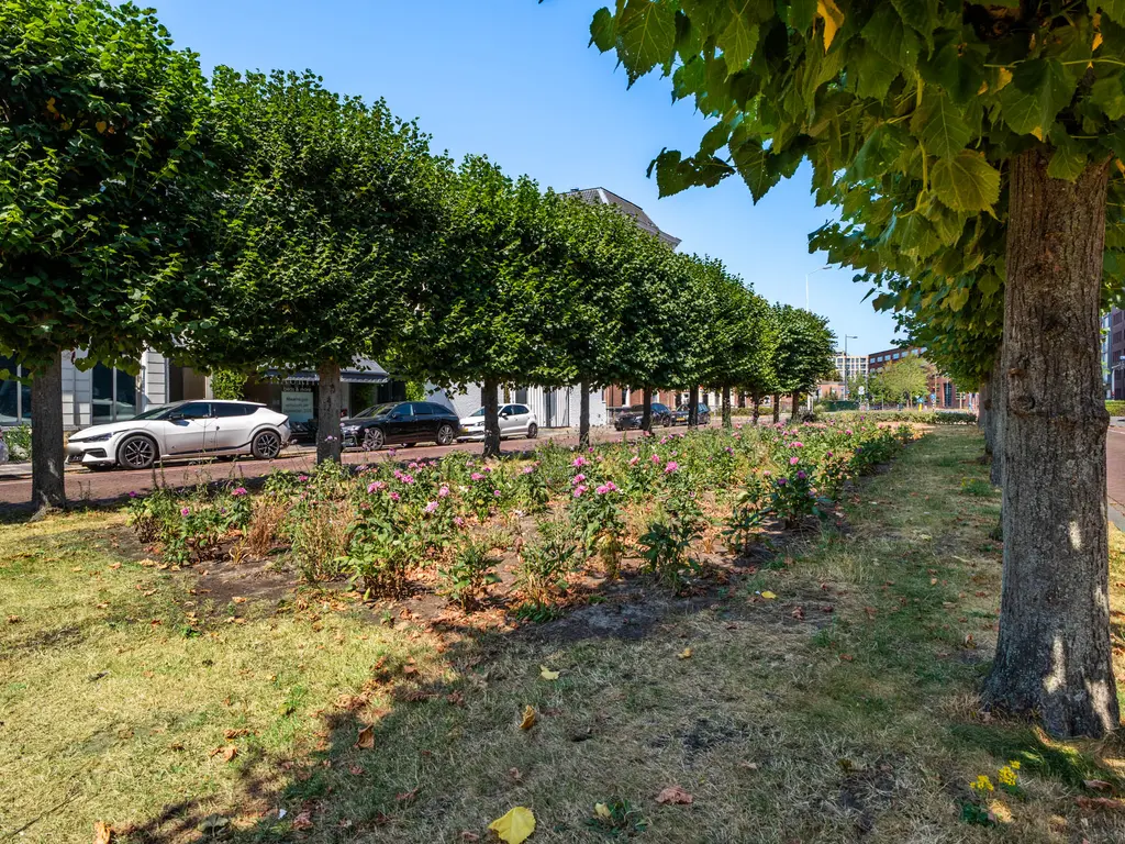 Mauritsstraat 24, BREDA