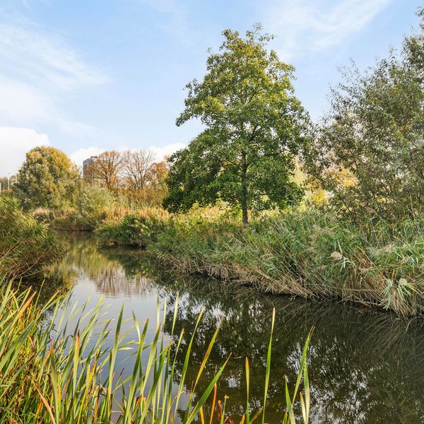 Lehárstraat 166, Capelle aan den IJssel
