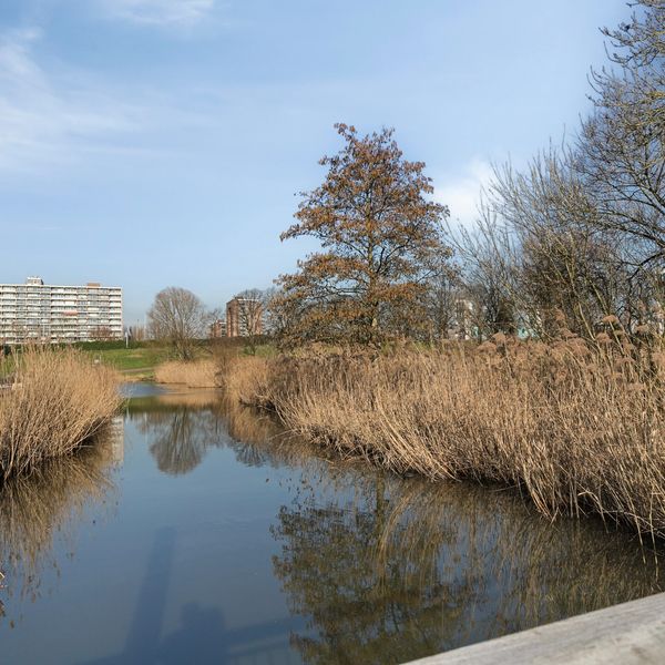 Lehárstraat 58, Capelle aan den IJssel