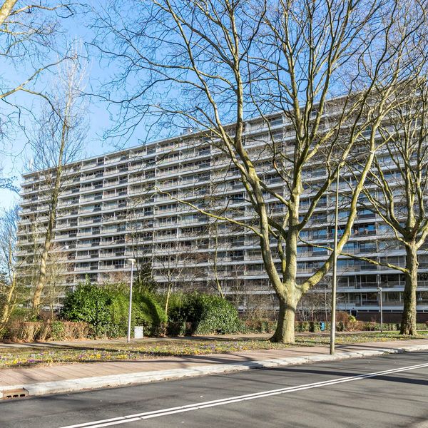 Louis Couperusplaats 287, Capelle aan den IJssel