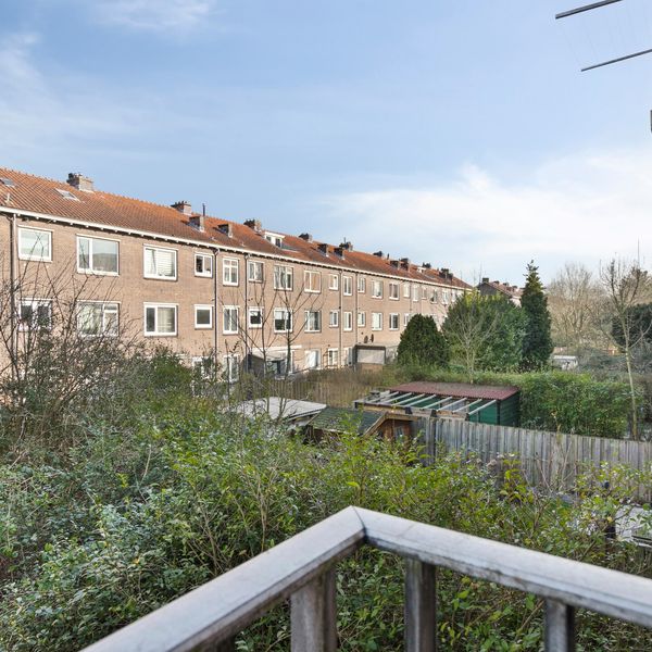 Lepelaarsingel 62B, Rotterdam
