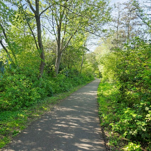 Silkeborg 25, Capelle aan den IJssel