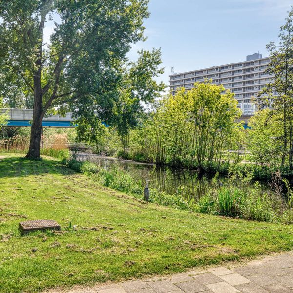 Merelhoven 59, Capelle aan den IJssel
