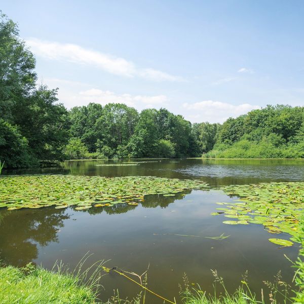Bermweg 422, Capelle aan den IJssel