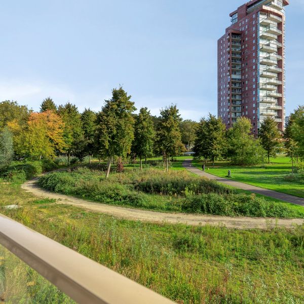 Nancy Zeelenbergsingel 38, Rotterdam