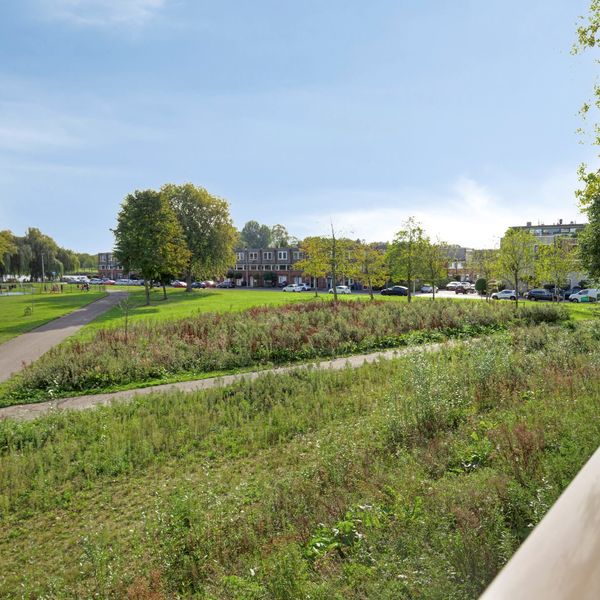 Nancy Zeelenbergsingel 38, Rotterdam