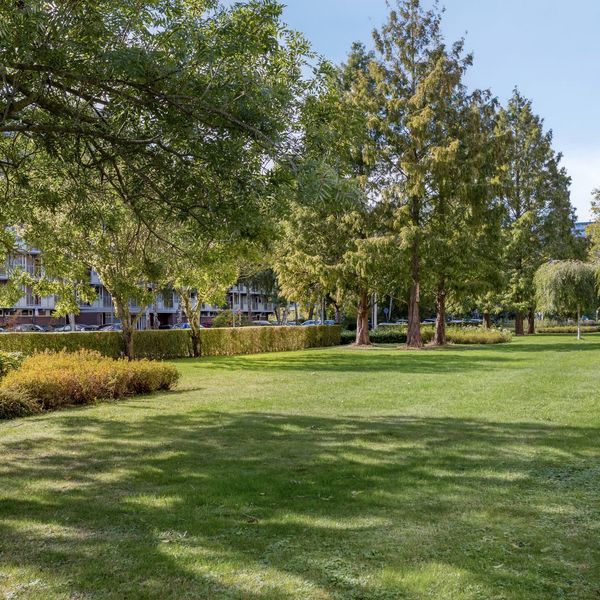 Merelhoven 229, Capelle aan den IJssel