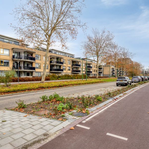 Leh&aacute;rstraat 50, Capelle aan den IJssel