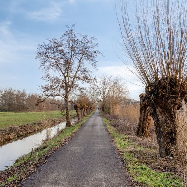 Neckardal 26, Capelle aan den IJssel