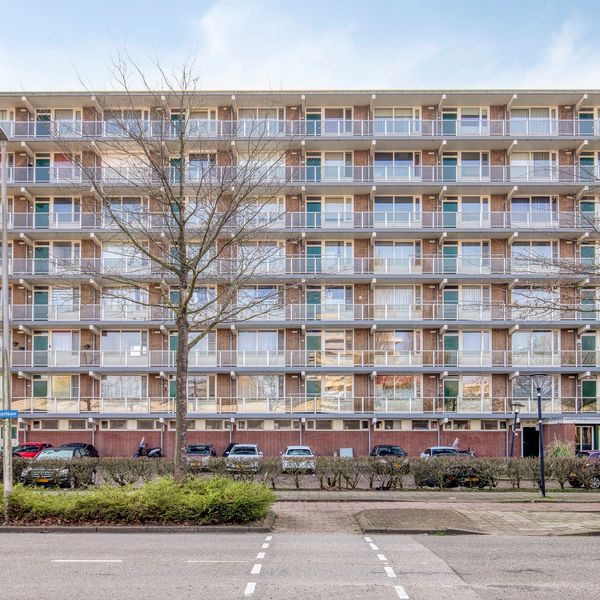 Alkenoord 313, Capelle aan den IJssel