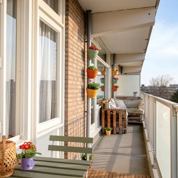 Alkenoord 313, Capelle aan den IJssel