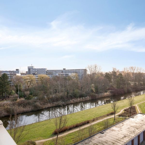 Alkenoord 313, Capelle aan den IJssel