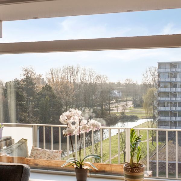 Alkenoord 313, Capelle aan den IJssel