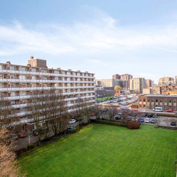 Alkenoord 313, Capelle aan den IJssel